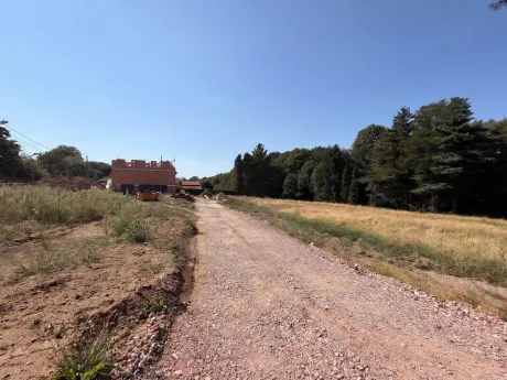 Huis in Tielt-Winge - Oude Tiensebaan 135, 3390 - foto 6