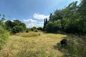 Appartement Te Koop Tienen