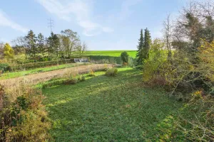 Grond Te Koop Tienen