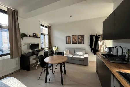Appartement Te Koop Leuven