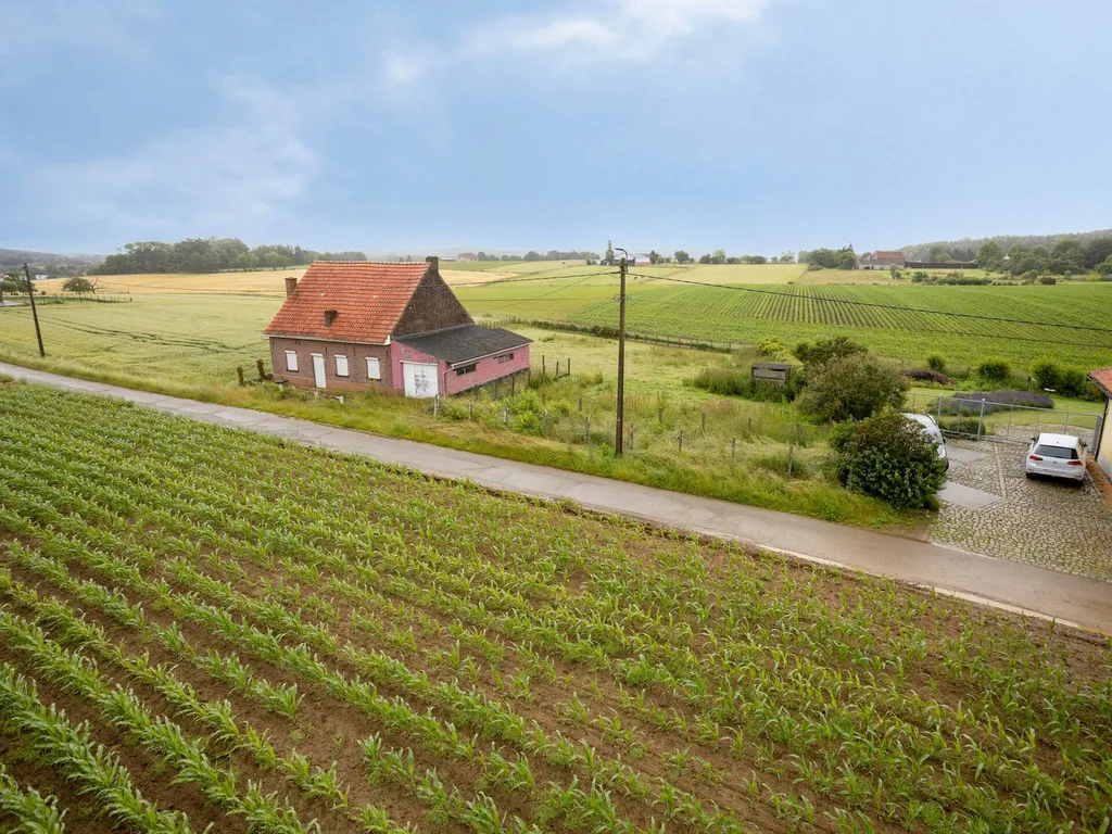 Hoofdfoto Huis in Holsbeek