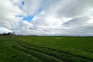 Grond Te Koop Baugnies