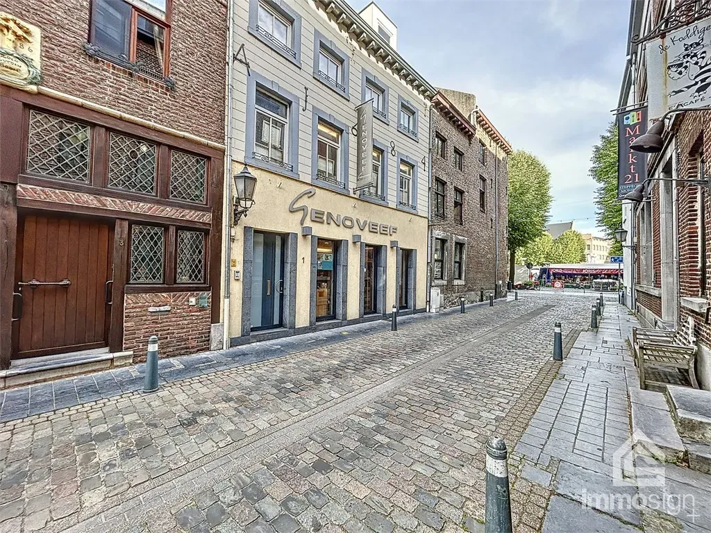 Hoofdfoto Huis in Maaseik