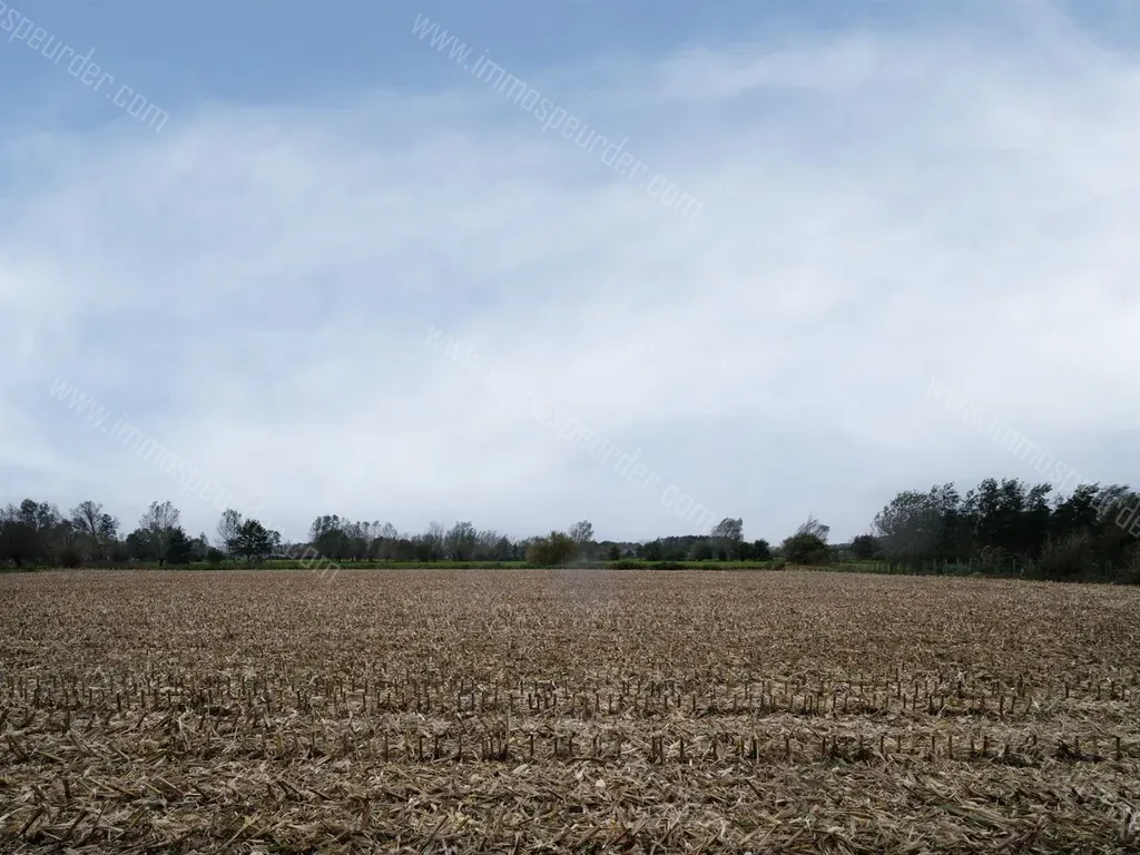 Villa in Wetteren - 1303377 - Laarnesteenweg 103, 9230 Wetteren