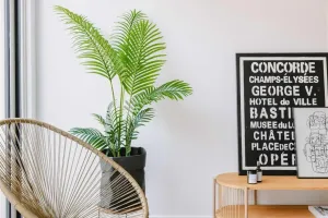 Huis Te Koop Zottegem