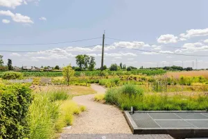 Appartement Te Koop Beveren-Waas