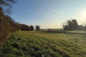 Kantoor Te Koop Popuelles