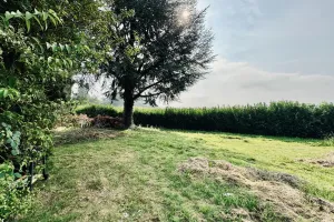Grond Te Koop Afsnee