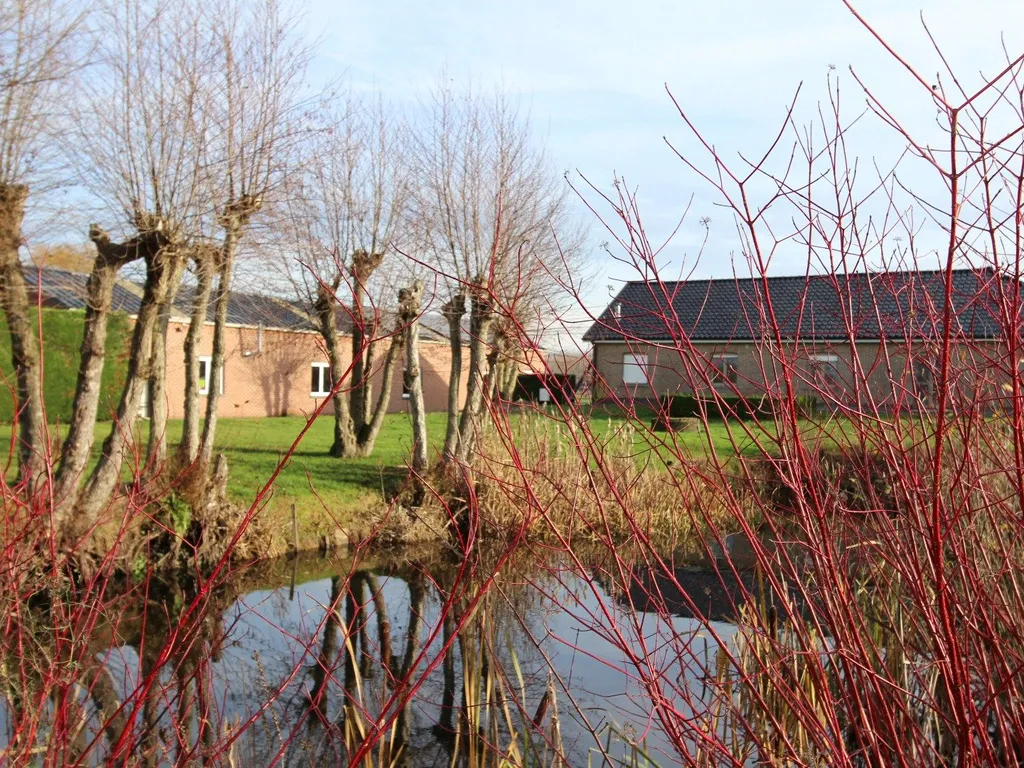 Hoofdfoto Huis in Beernem