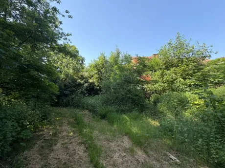 Handelspand in Linden - Kortrijkstraat 158, 3210 - foto 5