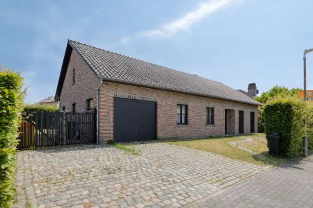Maison À vendre Begijnendijk