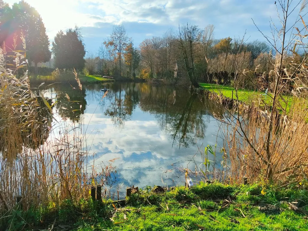 Hoofdfoto Huis in Hamme