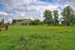 Huis Te Koop Damme