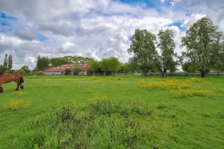 HuisDamme