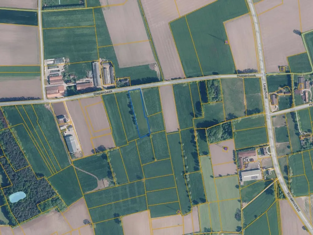 Hoofdfoto Kantoor in Lievegem