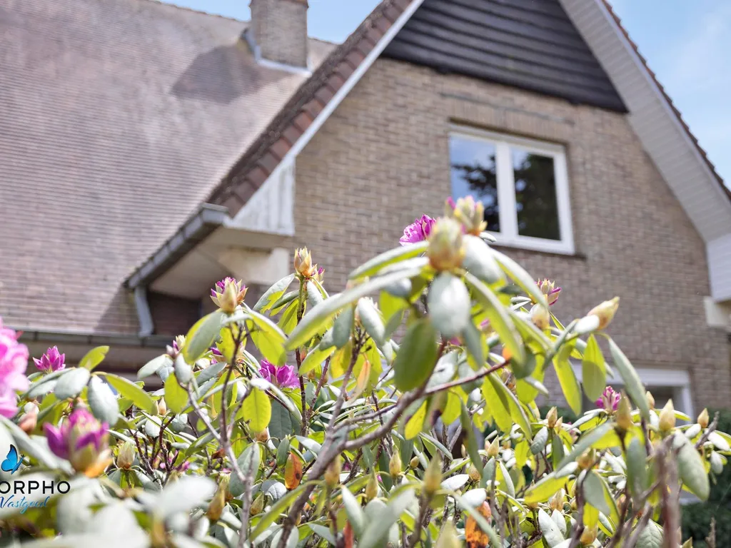 Villa in Ruddervoorde - 7701772 - Sint-Elooisstraat 111, 8020 Ruddervoorde