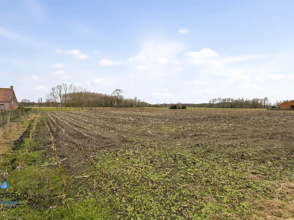 Grond in Oostkamp - 7701783 - Scharestraat 35, 8020 Oostkamp