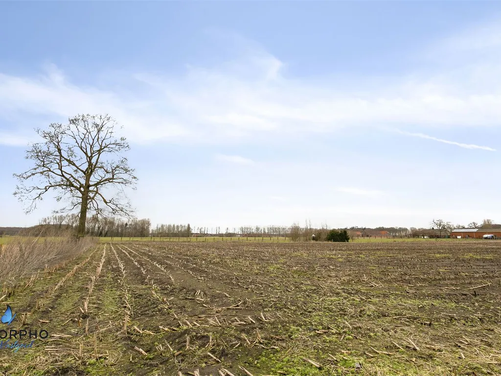 Grond in Oostkamp - 7701783 - Scharestraat 35, 8020 Oostkamp