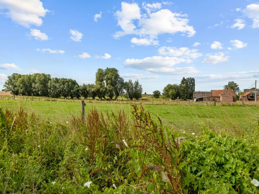 Hoofdfoto Huis in Ellezelles