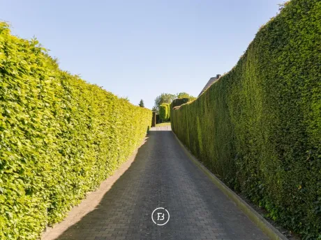 Villa in Itterbeek - Molenbergstraat 118, 1701 - foto 7
