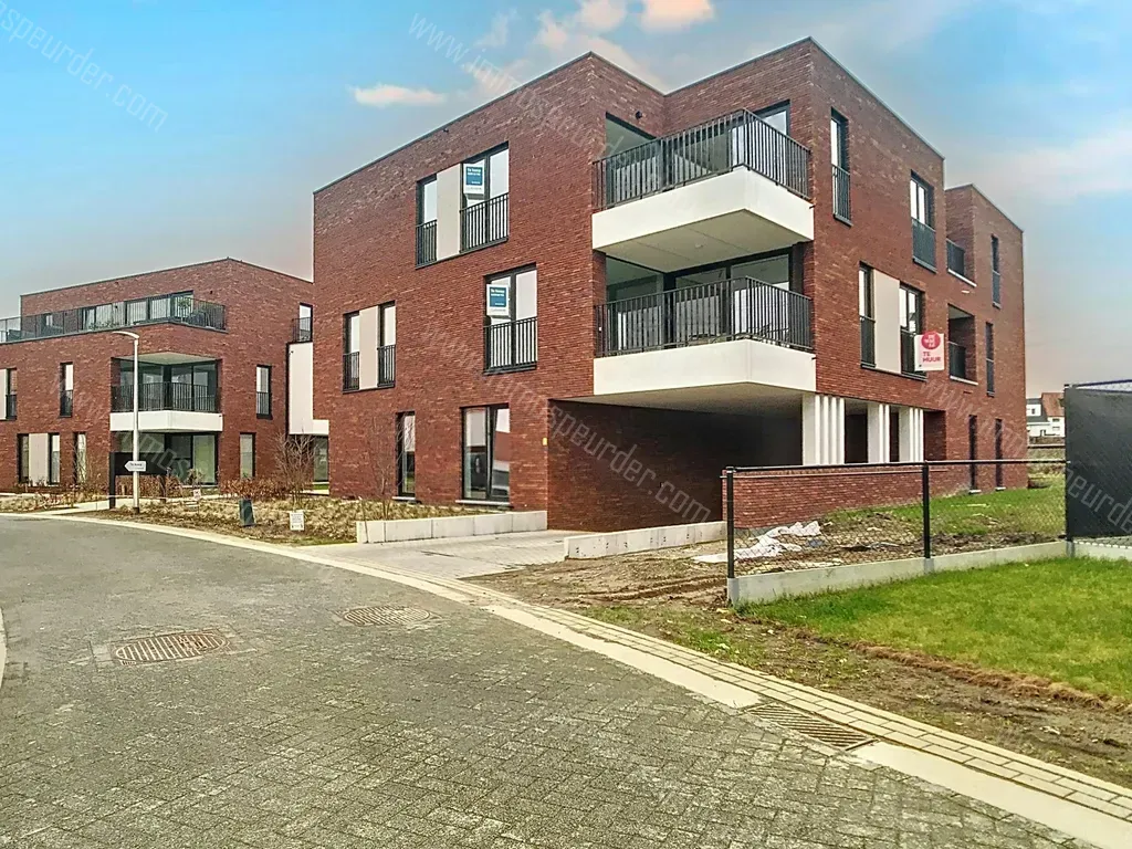 Appartement in Niel - 1366498 - Irisstraat 34-bus-1-02, 2845 Niel