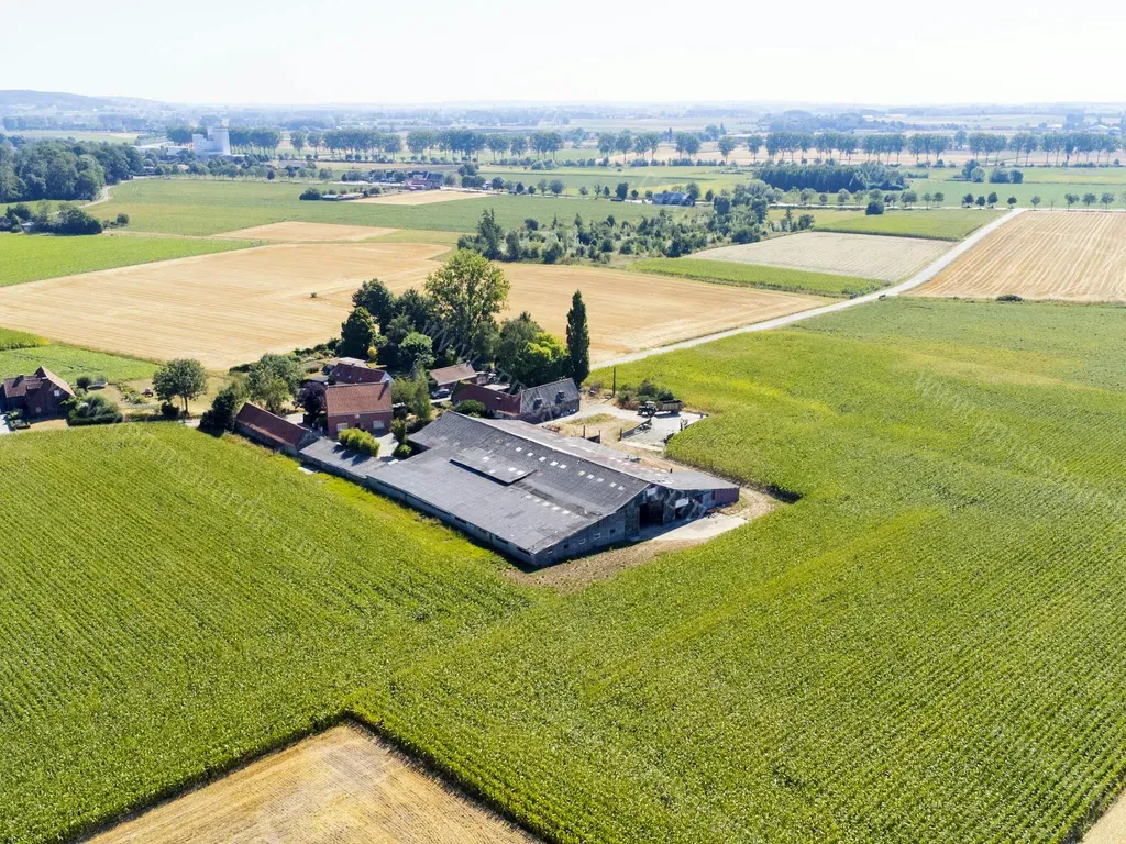 Huis in Zwevegem