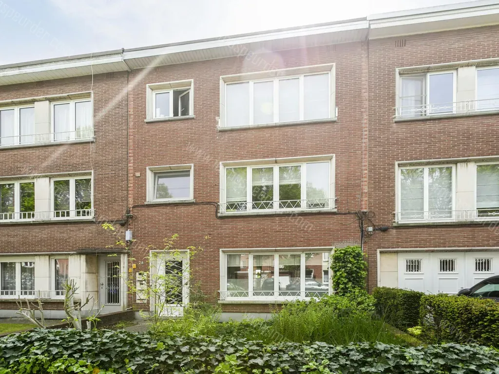 Appartement in Wilrijk