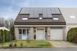 HuisMuizen