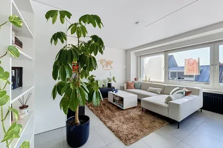 Appartement À louer Courtrai