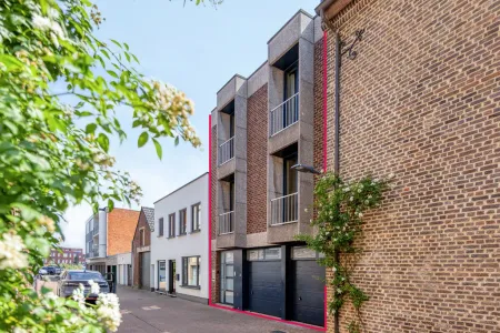 Maison À vendre Maaseik